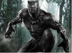 黑豹足球最新爆料,揭秘球队内部最新动态与转会传闻 第1张 黑豹足球最新爆料,揭秘球队内部最新动态与转会传闻 第1张